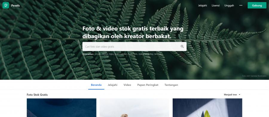 Situs Penyedia Gambar Gratis Bebas Hak Cipta